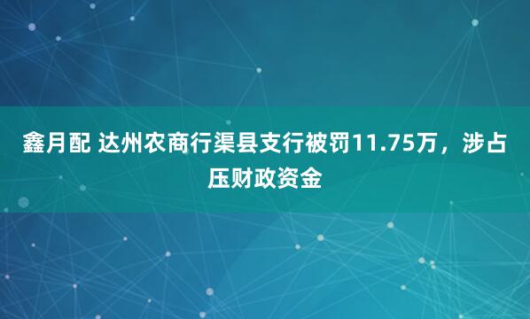 鑫月配 达州农商行渠县支行被罚11.75万，涉占压财政资金